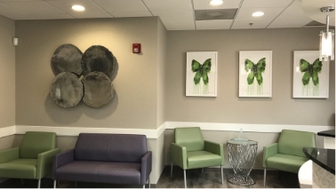 Artwork of green butterflies on wall of reception area